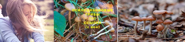 гидра Сатка