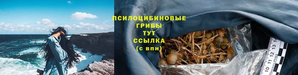 гидра Сатка