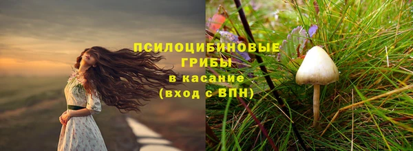 крисы Сафоново